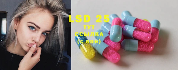 ГАЛЛЮЦИНОГЕННЫЕ ГРИБЫ Алексеевка