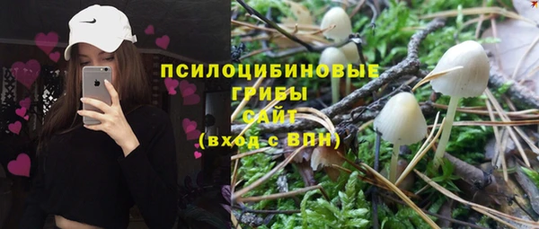 mix Алексин
