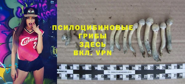 спайс Алзамай